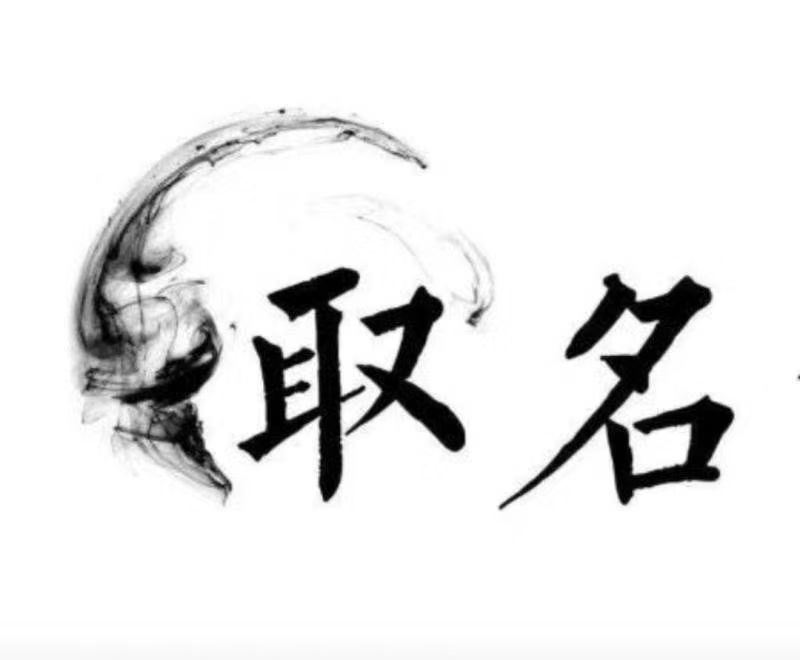  连城宝宝取名 大师一对一人工起名